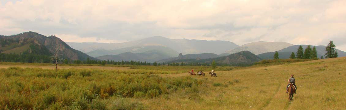 Horse riding on trail